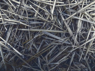 Abstract hay background