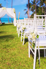 Row of white wedding chairs on green grass ready for the ceremony