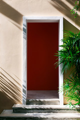 door way and steps and tropical trees