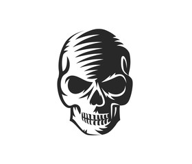 Vector black and white illustration of human skull