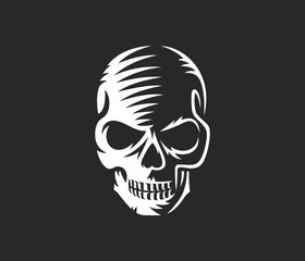 Vector black and white illustration of human skull