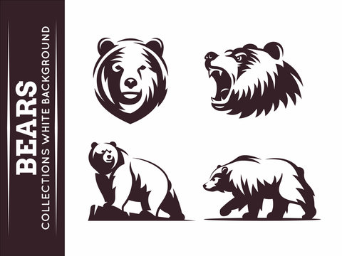 Bears collections - vector illustration on white background