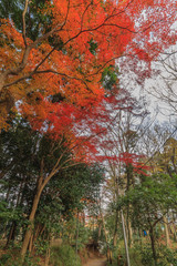 秋の四街道の風景