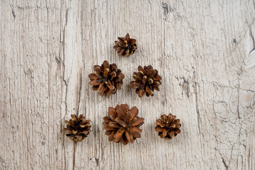 pine cones in christmas tree shape