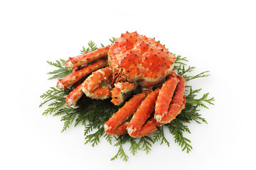 たらばがに　Red king crab