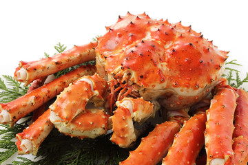 たらばがに　Red king crab