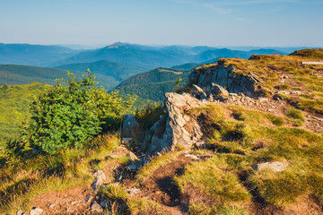 Summer mountain landscape at sunrise with grass and blue sky