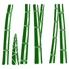 竹とたけのこのイラスト