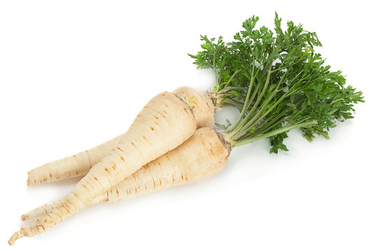 Fototapeta Parsnip root with leaf