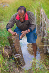 Thai Farmers' Lifestyle Thai farmers are fishing traps in Thai rice fields, catching snakes in fishing cages.