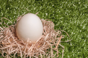 Chicken egg on artificial turf in the nest. Waiting for the birth of a new life