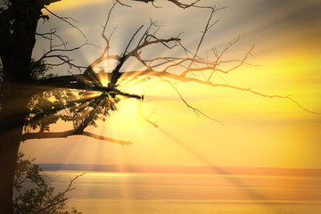 Dawn over the river Volga