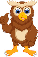 cute owl cartoon standing with smile and thumb up