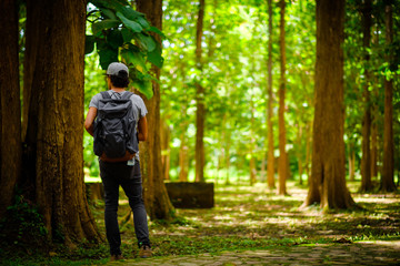 Fototapeta premium Man traveler traveling walking with backpack at the jungle on holiday at weekend on background nature view