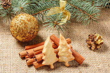 Gingerbread cookies in Christmas tree shape on sackcloth with cinnamon, star anise, glittering ball and natural fir tree branches