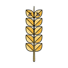 Ear of Wheat icon