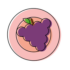 plate with grape vector illustration