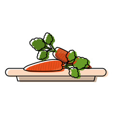 plate with  carrots  vector illustration