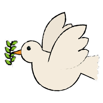 peace dove with olive branch vector illustration design