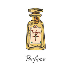 Perfume vintage yellow bottle with inscription, hand drawn doodle sketch, isolated vector color illustration