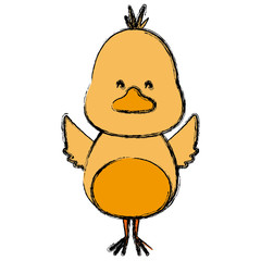 Cute bird head cartoon icon vector illustration graphic design