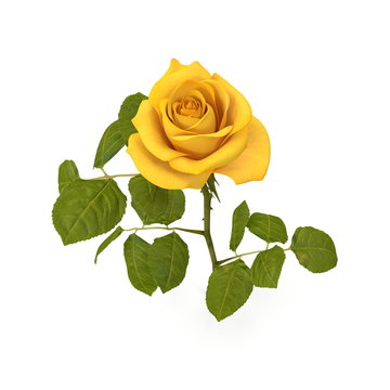 Single beautiful yellow rose isolated on white. 3D illustration