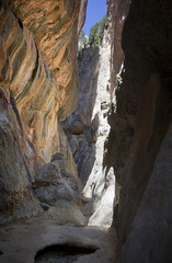 Fototapeta na wymiar The Gubies in Parrisal Canyon