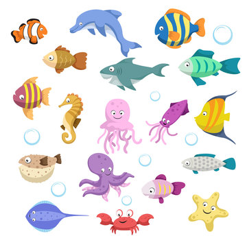 Cartoon trendy colorful reef animals big set. Fishes, mammal, crustaceans.Dolphin and shark, octopus, crab, starfish, jellyfish. Tropic reef coral wildlife.