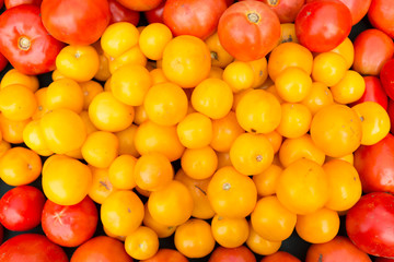 Organic red and golden tomatoes at farmers' market.