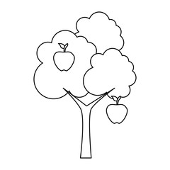 apple tree isolated icon vector illustration design