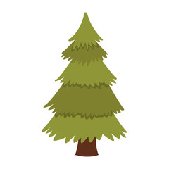 Tree pine isolated icon vector illustration graphic design