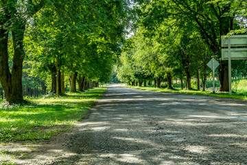 Asphalt country road