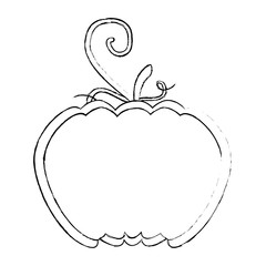 half pumpkin fresh isolated icon vector illustration design