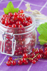 Red currants in a jar