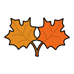 Naklejka premium mapple leaf isolated icon vector illustration design