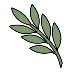 olive branch isolated icon vector illustration design
