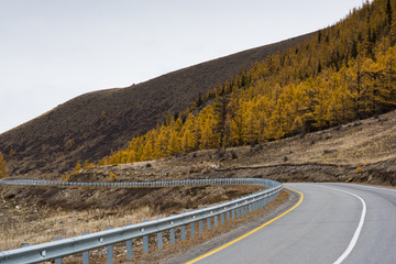 Federal highway M-52 Chuysky tract, asphalt road with markings among the autumn trees.