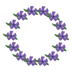 Obraz premium beautiful tropical flowers design 