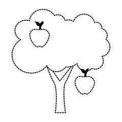 apple tree isolated icon vector illustration design