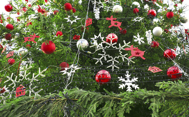  Christmas festive tree
