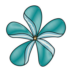 beautiful tropical flowers design 