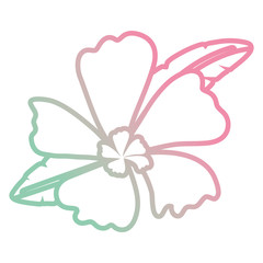 beautiful tropical flowers design 