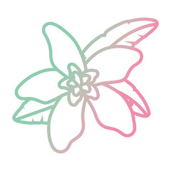 beautiful tropical flowers design 