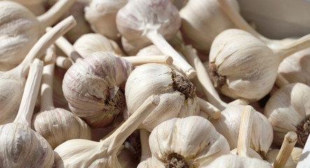 Garlic. Background of beige and white from vegetables.