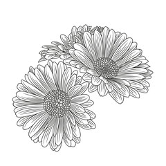 Abstract hand-drawn  flower chamomile. Element for design. Vector illustration.
