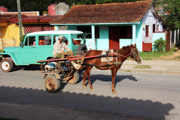 Pferdekutscher reiter in Viñales Kuba