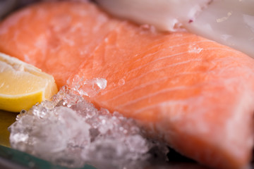 raw salmon in ice