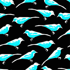 turquoise and white birds on a black background. Seamless pattern