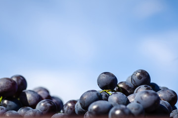 Grape and blue sky