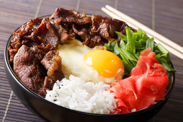 Japanese beef with rice, egg and onion closeup on the table. horizontal